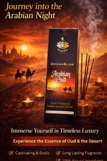 Journey into the Arabian Night